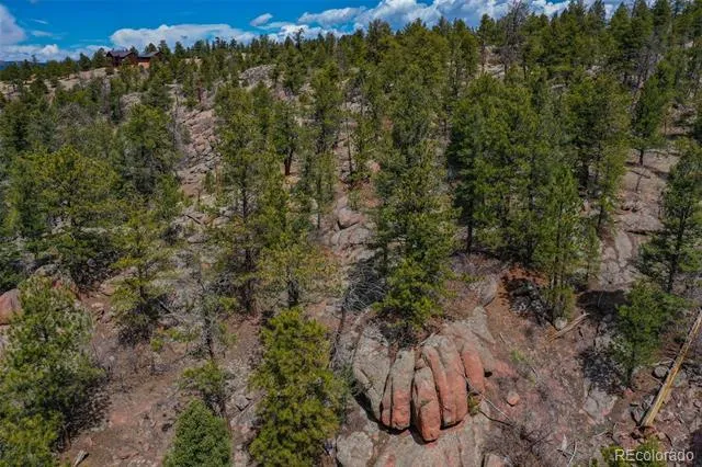 487 Pike View Lane Florissant, CO 80816