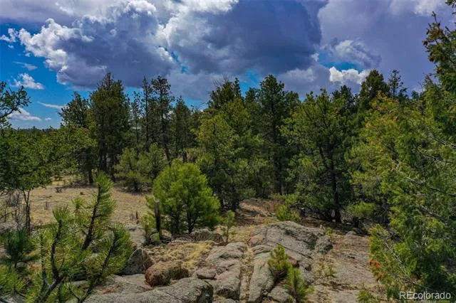 487 Pike View Lane Florissant, CO 80816