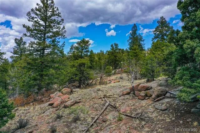 487 Pike View Lane Florissant, CO 80816