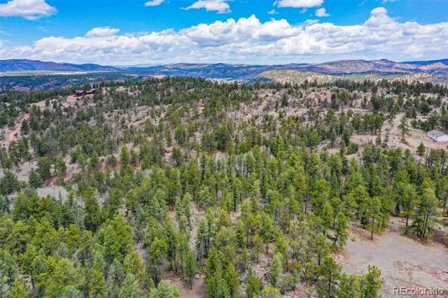 487 Pike View Lane Florissant, CO 80816