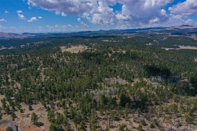 487 Pike View Lane Florissant, CO 80816