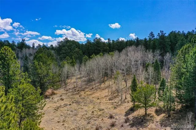 487 Pike View Lane Florissant, CO 80816
