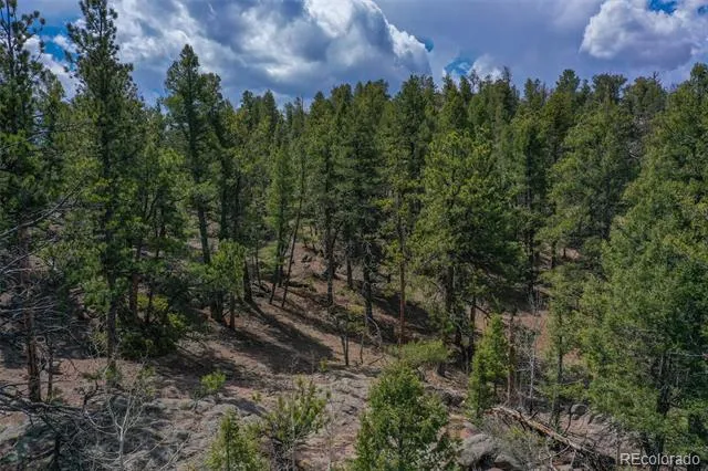 487 Pike View Lane Florissant, CO 80816