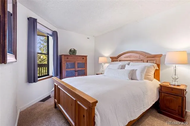 805 S 5th Avenue #332 Frisco, CO 80443