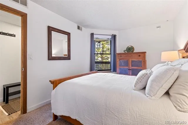 805 S 5th Avenue #332 Frisco, CO 80443