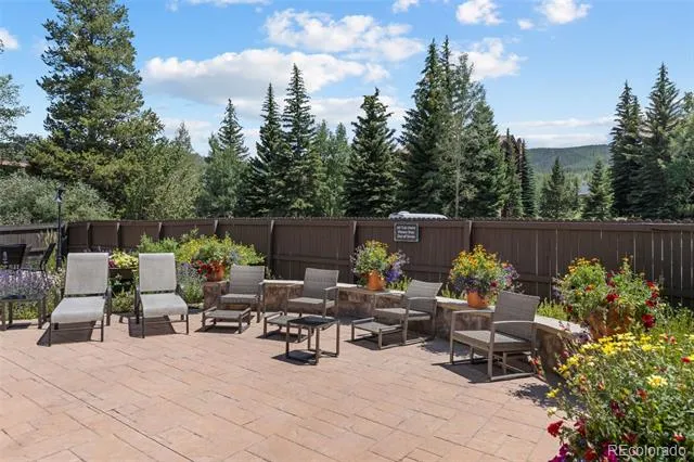 805 S 5th Avenue #332 Frisco, CO 80443