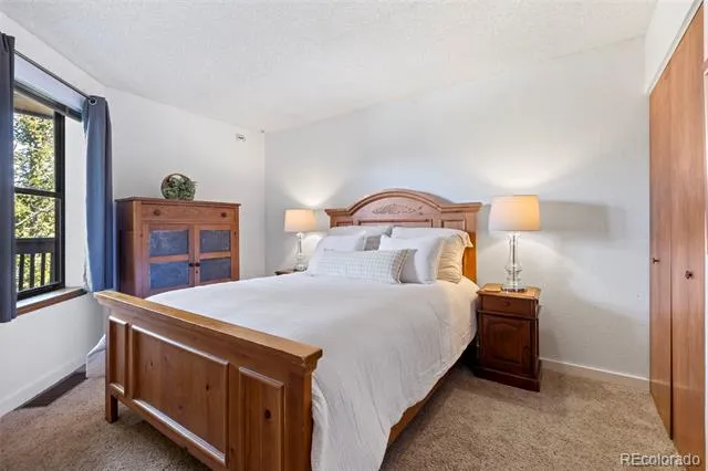805 S 5th Avenue #332 Frisco, CO 80443