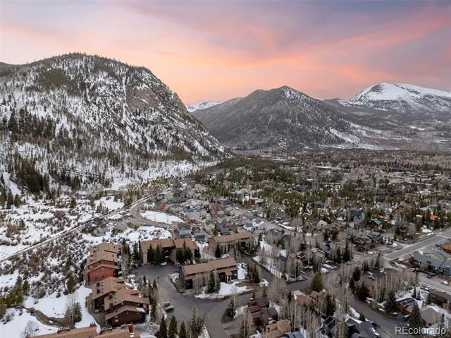 805 S 5th Avenue #332 Frisco, CO 80443