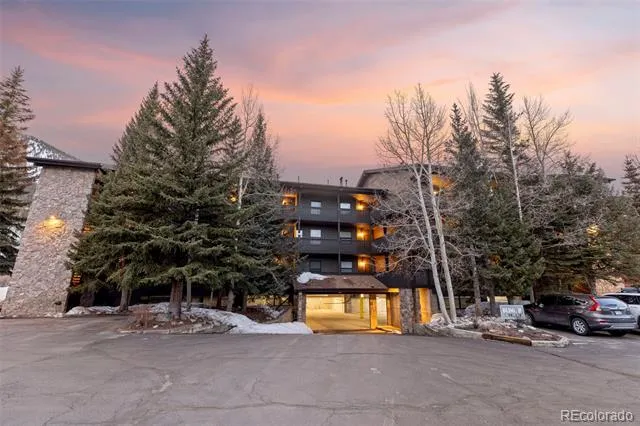 805 S 5th Avenue #332 Frisco, CO 80443