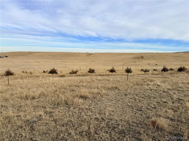 03 County Road 122 Ramah, CO 80832
