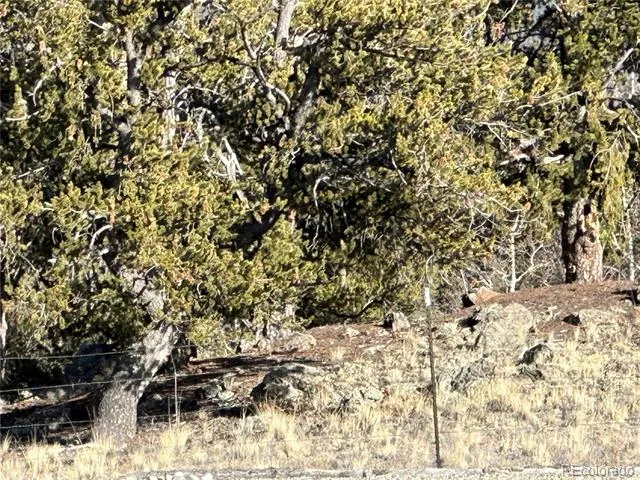 1289 Willow Way Jefferson, CO 80456