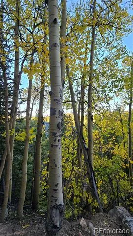 Democrat Mountain Claims Georgetown, CO 80444