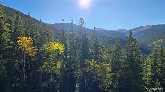 Democrat Mountain Claims Georgetown, CO 80444