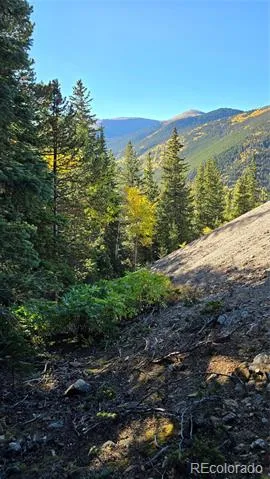 Democrat Mountain Claims Georgetown, CO 80444
