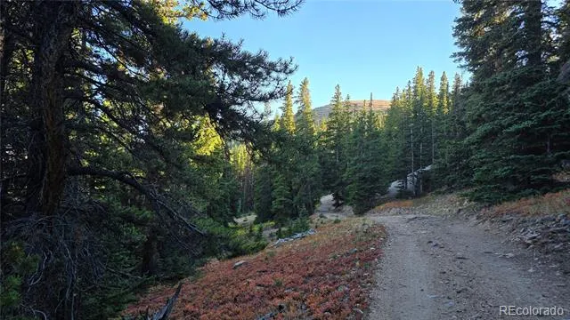 Democrat Mountain Claims Georgetown, CO 80444
