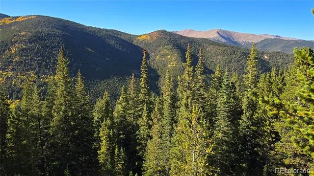 Democrat Mountain Claims Georgetown, CO 80444