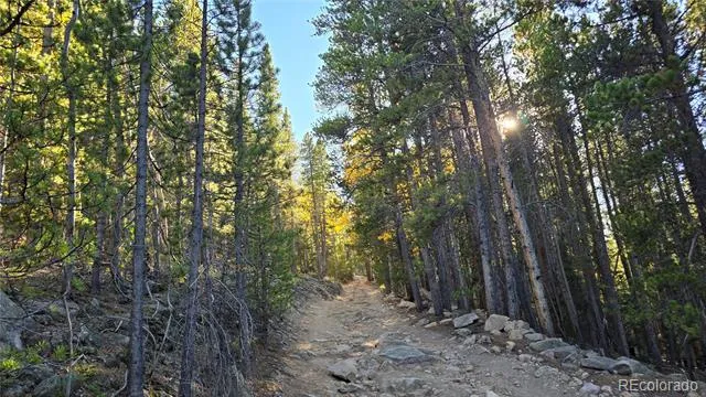 Democrat Mountain Claims Georgetown, CO 80444