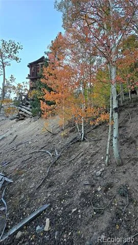 Democrat Mountain Claims Georgetown, CO 80444