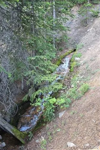 Democrat Mountain Claims Georgetown, CO 80444