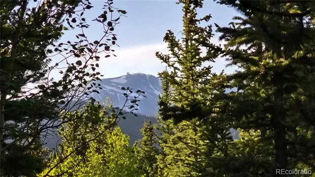 Democrat Mountain Claims Georgetown, CO 80444