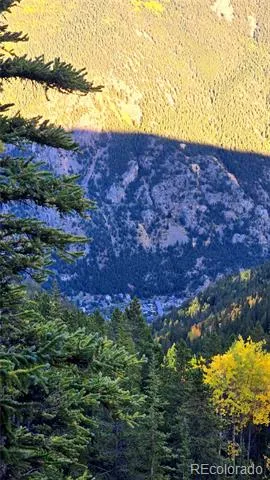 Democrat Mountain Claims Georgetown, CO 80444