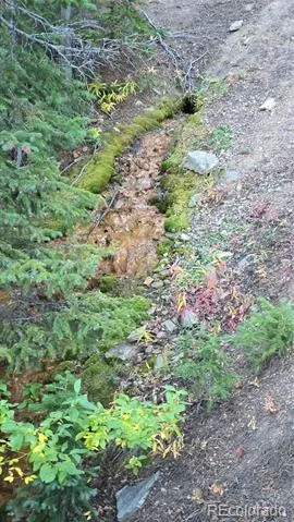 Democrat Mountain Claims Georgetown, CO 80444