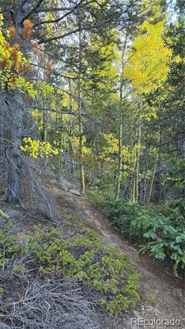 Democrat Mountain Claims Georgetown, CO 80444