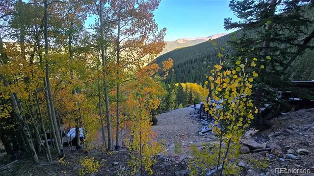 Democrat Mountain Claims Georgetown, CO 80444
