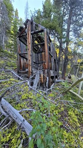 Democrat Mountain Claims Georgetown, CO 80444