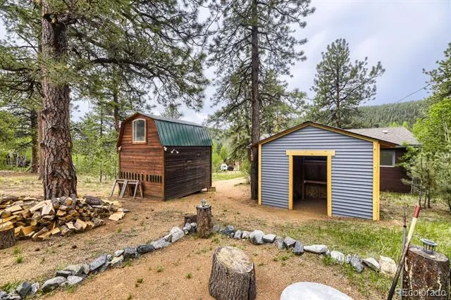 303 Hall Road Bailey, CO 80421