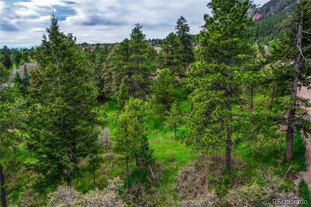 Address Not Shown Palmer Lake, CO 80133