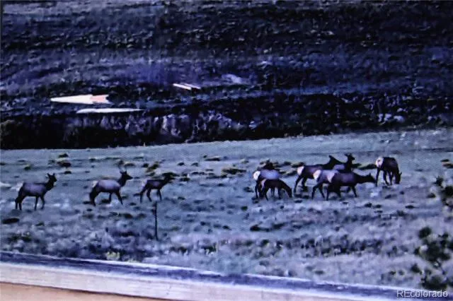 Address Not Shown Hartsel, CO 80449