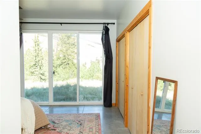 301 Rue La Fong Lane Creede, CO 81130