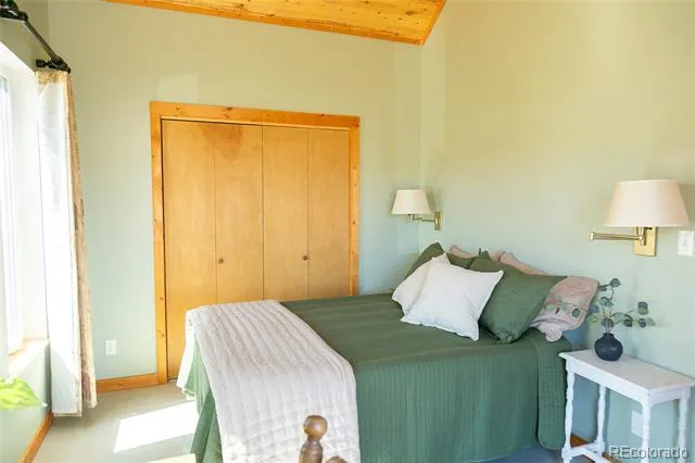 301 Rue La Fong Lane Creede, CO 81130