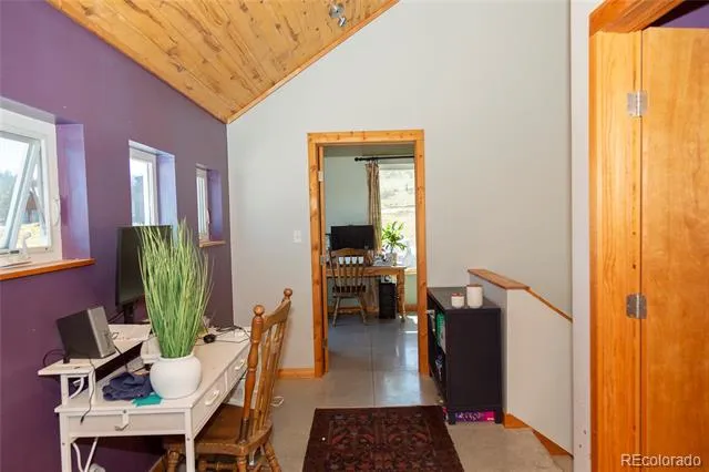 301 Rue La Fong Lane Creede, CO 81130