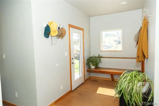301 Rue La Fong Lane Creede, CO 81130