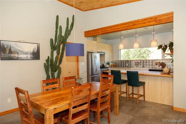 301 Rue La Fong Lane Creede, CO 81130