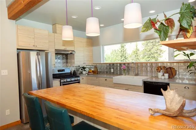 301 Rue La Fong Lane Creede, CO 81130