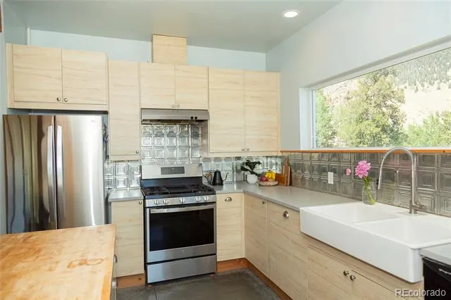 301 Rue La Fong Lane Creede, CO 81130
