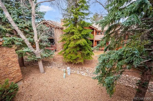16065 Double Eagle Drive #B Morrison, CO 80465