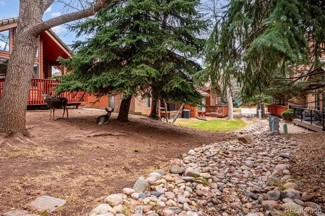 16065 Double Eagle Drive #B Morrison, CO 80465