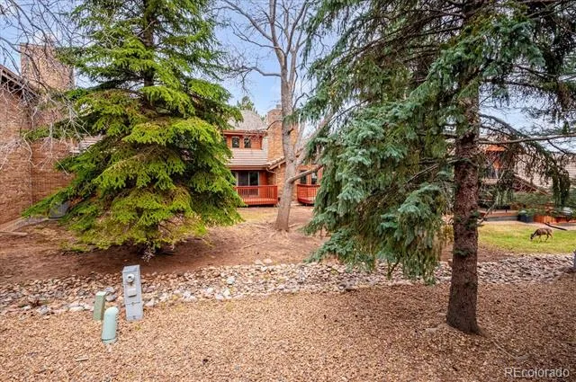 16065 Double Eagle Drive #B Morrison, CO 80465
