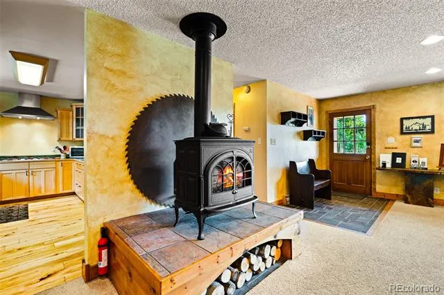163 Meadow View Lane Fairplay, CO 80440