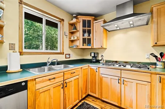 163 Meadow View Lane Fairplay, CO 80440