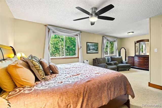 163 Meadow View Lane Fairplay, CO 80440