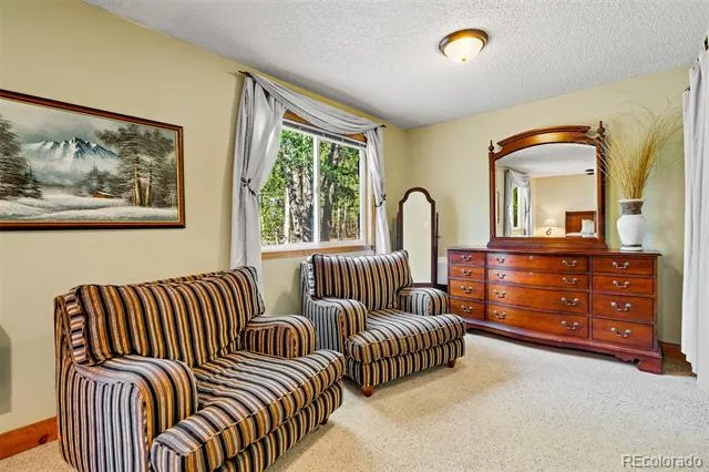 163 Meadow View Lane Fairplay, CO 80440