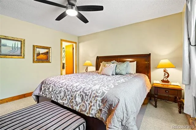 163 Meadow View Lane Fairplay, CO 80440