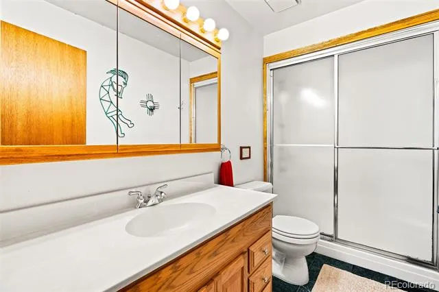 163 Meadow View Lane Fairplay, CO 80440