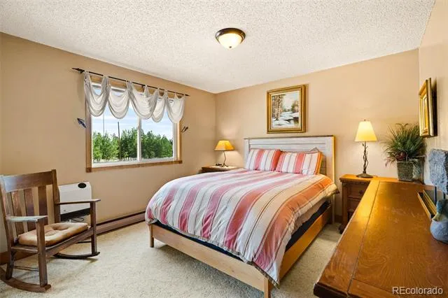 163 Meadow View Lane Fairplay, CO 80440