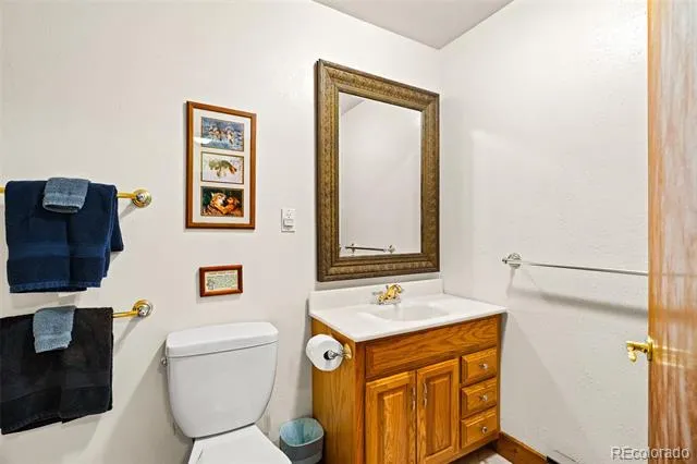 163 Meadow View Lane Fairplay, CO 80440
